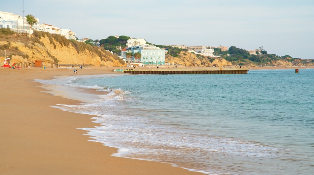 Playa del pescador mostrando vistas de una costa, una playa de arena y una localidad costera