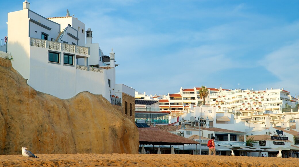 Playa del pescador que incluye vistas de una costa, una playa y una localidad costera