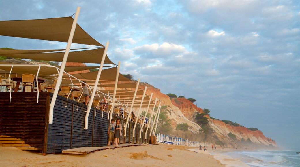 หาด Falesia ซึ่งรวมถึง หาดทราย, ชายฝั่งขรุขระ และ ชายฝั่งทะเล