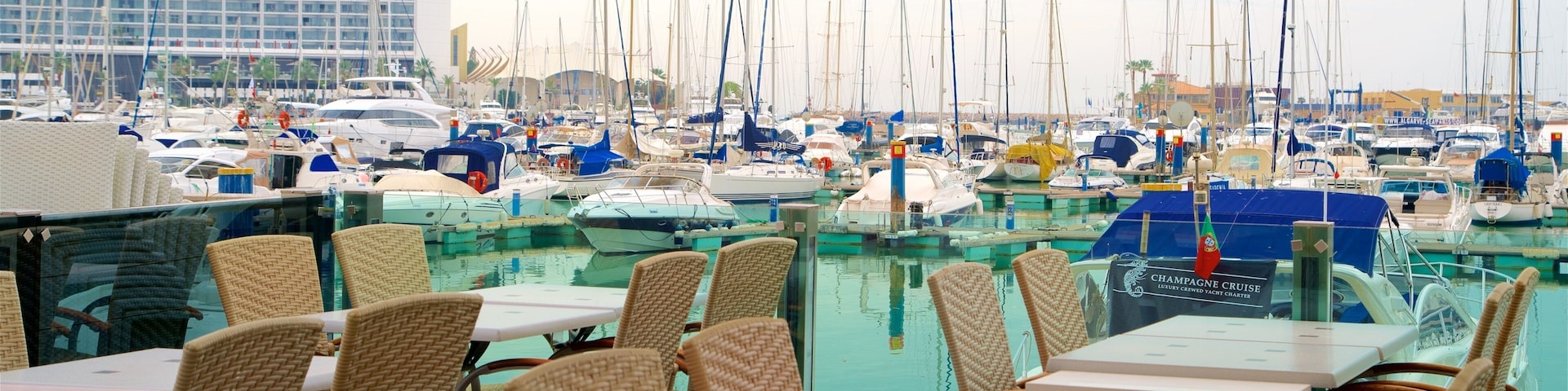 Un puerto deportivo con numerosas embarcaciones amarradas, sillas de mimbre y mesas bajo una pérgola.
