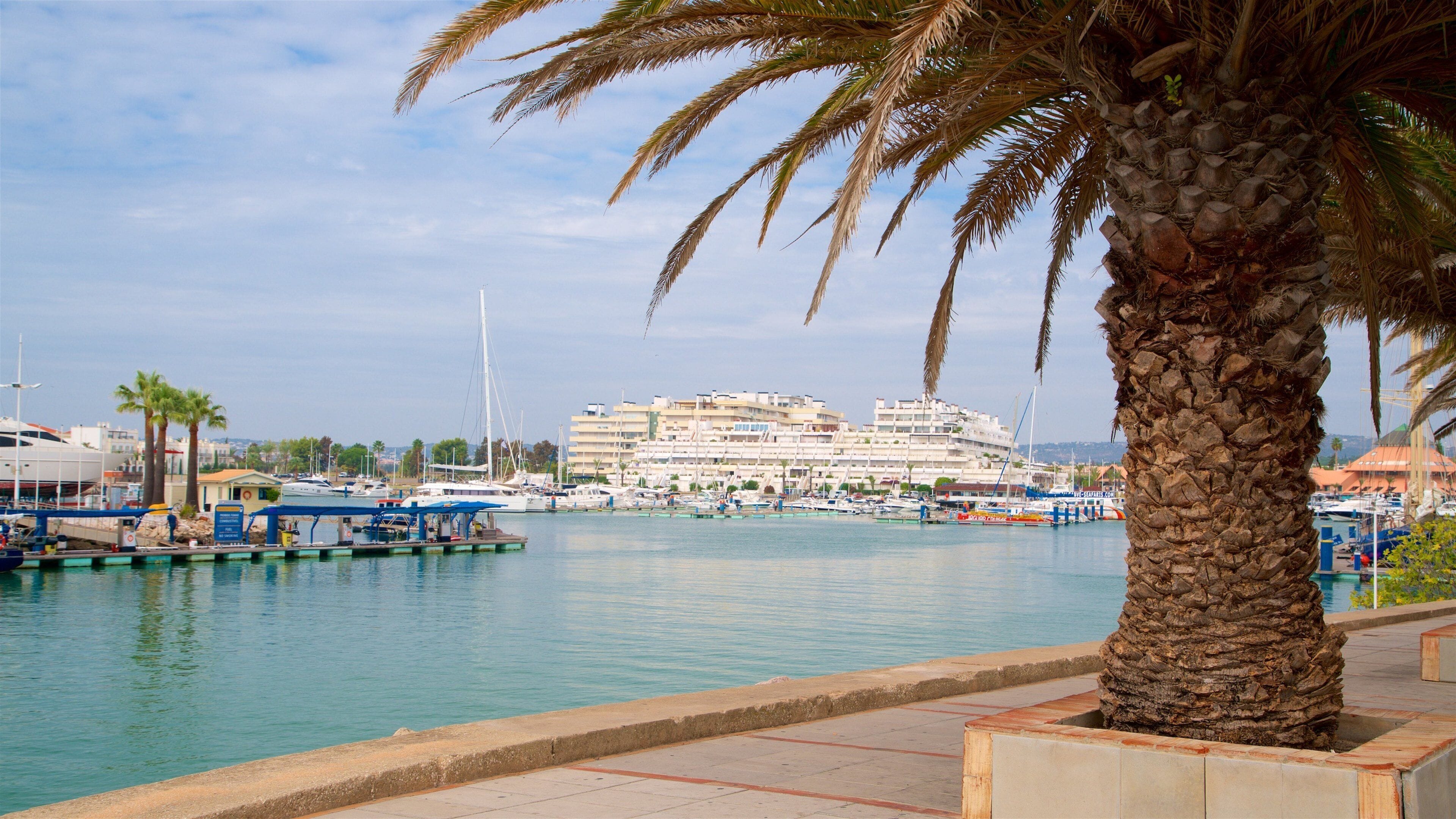 A marina with boats, a large cruise ship, and palm trees.