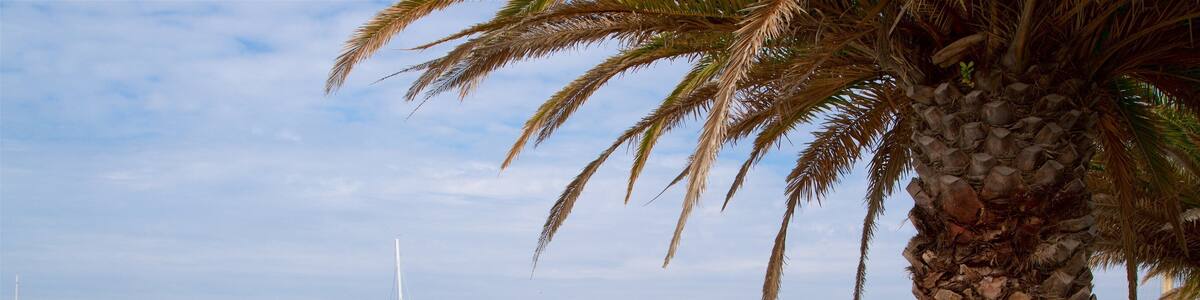Vilamoura Marina showing a bay or harbor