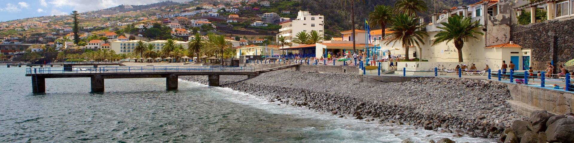 A rocky beach with a pier, palm trees, and buildings in the background.