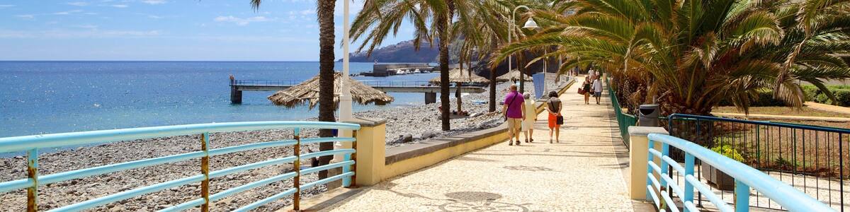 Santa Cruz Beach featuring a pebble beach and tropical scenes