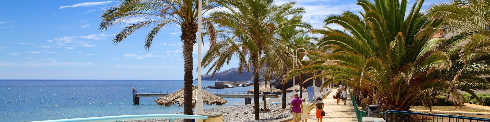 Santa Cruz Beach featuring a pebble beach and tropical scenes