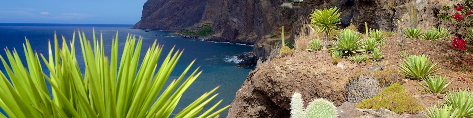 A coastal landscape with a mountain, cacti, and a village.
