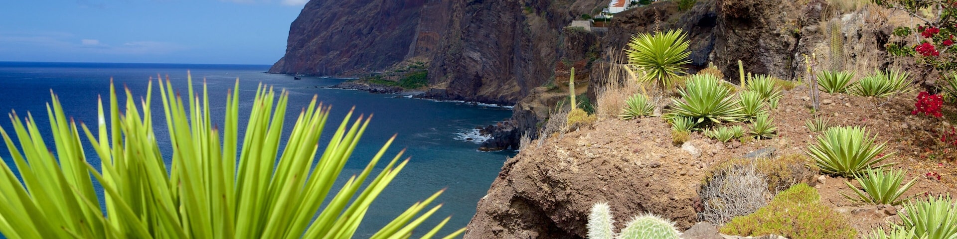 Cabo Girão que inclui litoral rochoso e flores