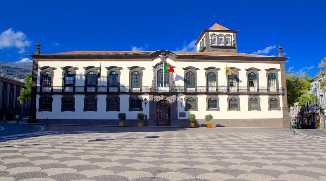 Stadsplein inclusief een overheidsgebouw, historische architectuur en een plein