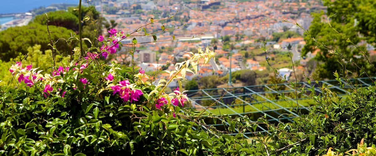 Madeira ofreciendo una ciudad