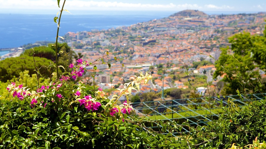Madeira Island which includes a city