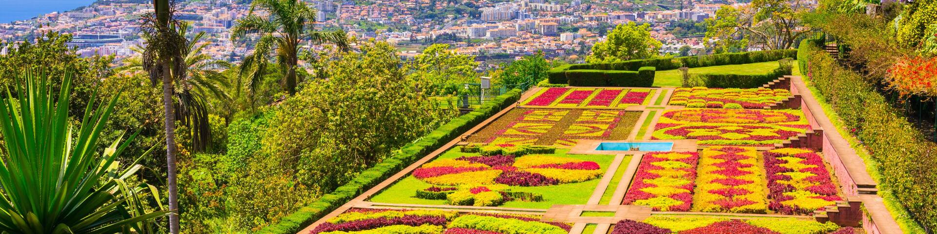 Botanical garden in Funchal, Madeira island, Portugal