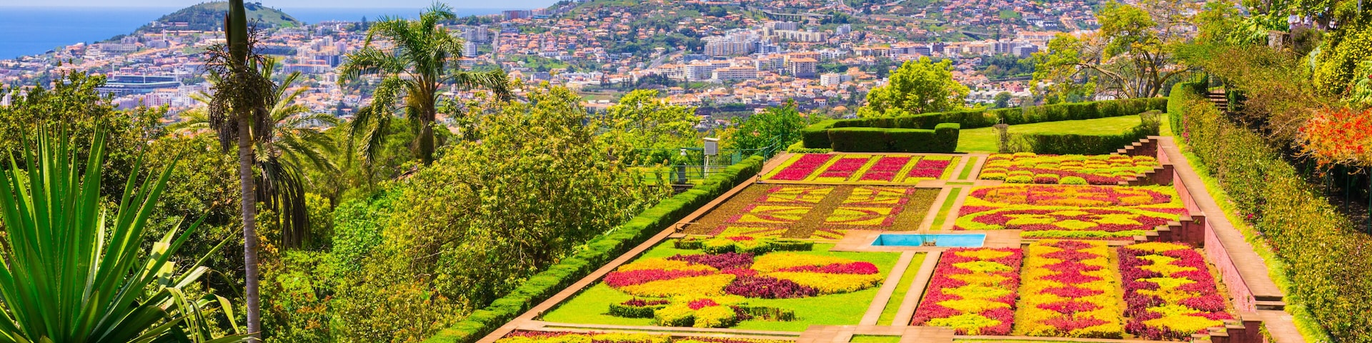 Botanical garden in Funchal, Madeira island, Portugal