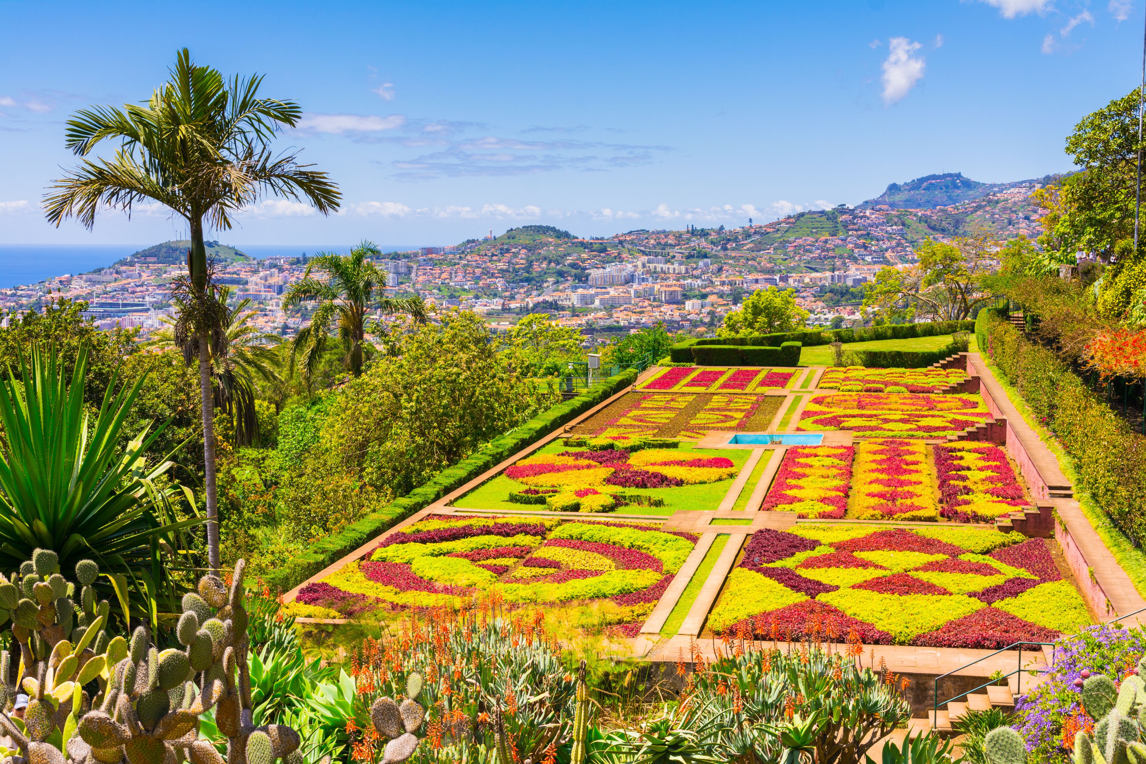 A botanical garden with colorful flower beds, a palm tree, and a cityscape in the background.
