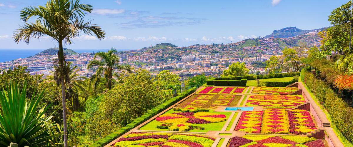 A botanical garden with colorful flower beds, a palm tree, and a cityscape in the background.