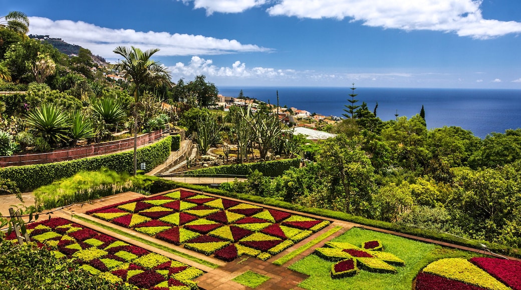 Madeira island: botanical garden Monte, Funchal, Portugal