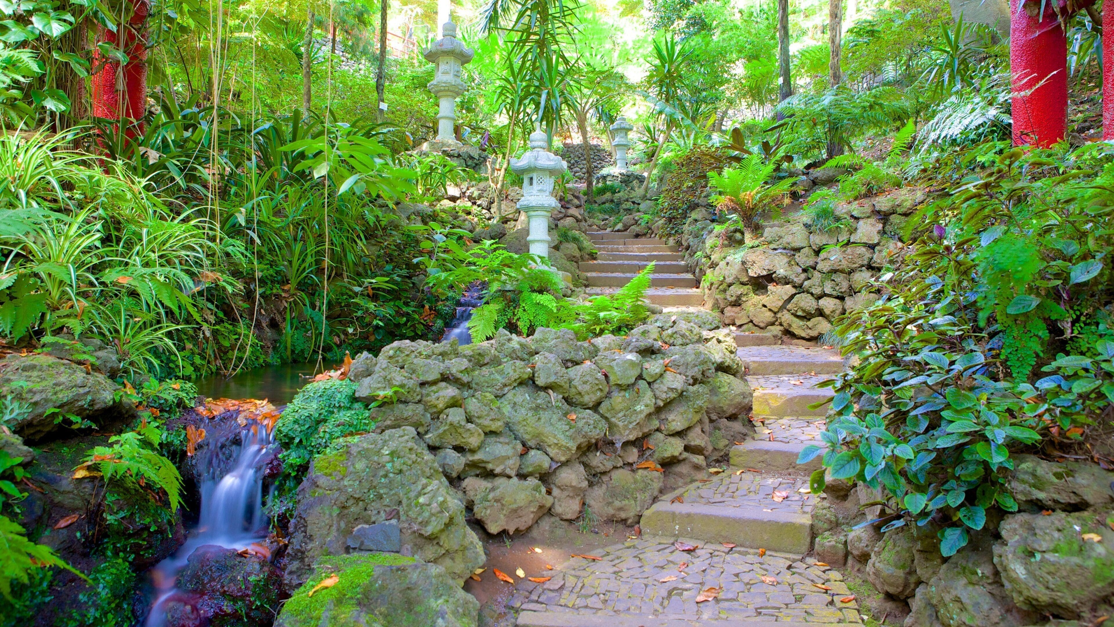 A lush garden with a waterfall, stone steps, and traditional lanterns.