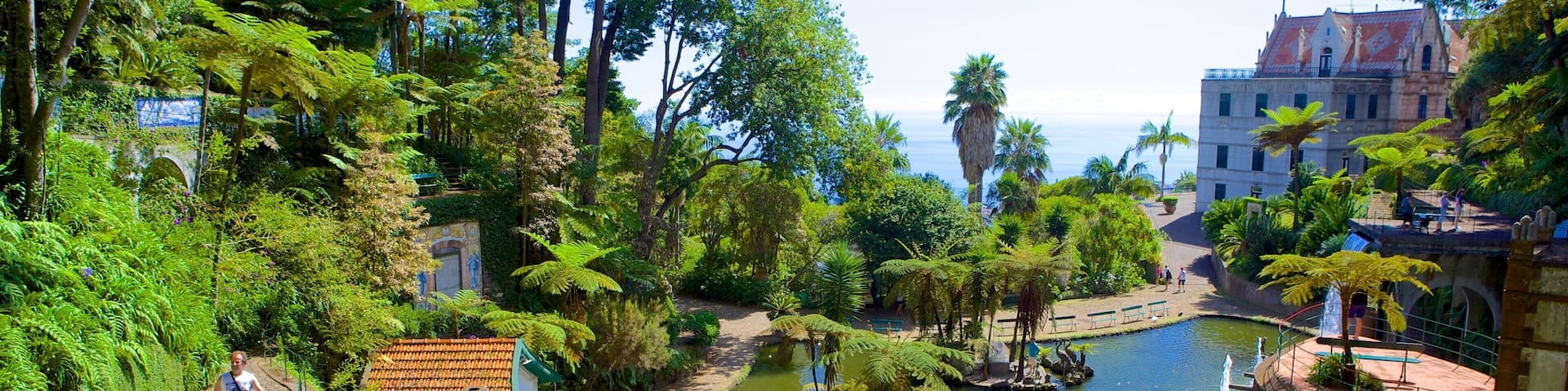 Monte Palace Gardens which includes a garden and a pond