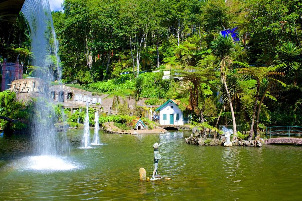 A waterfall, a pond, a small house, and lush greenery.