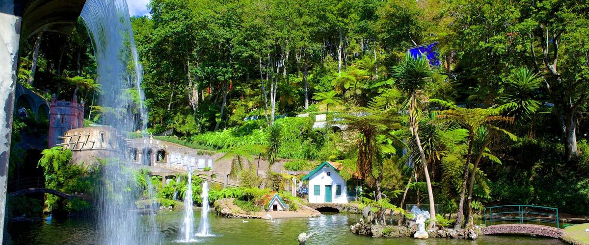 A waterfall, a pond, a small house, and lush greenery.