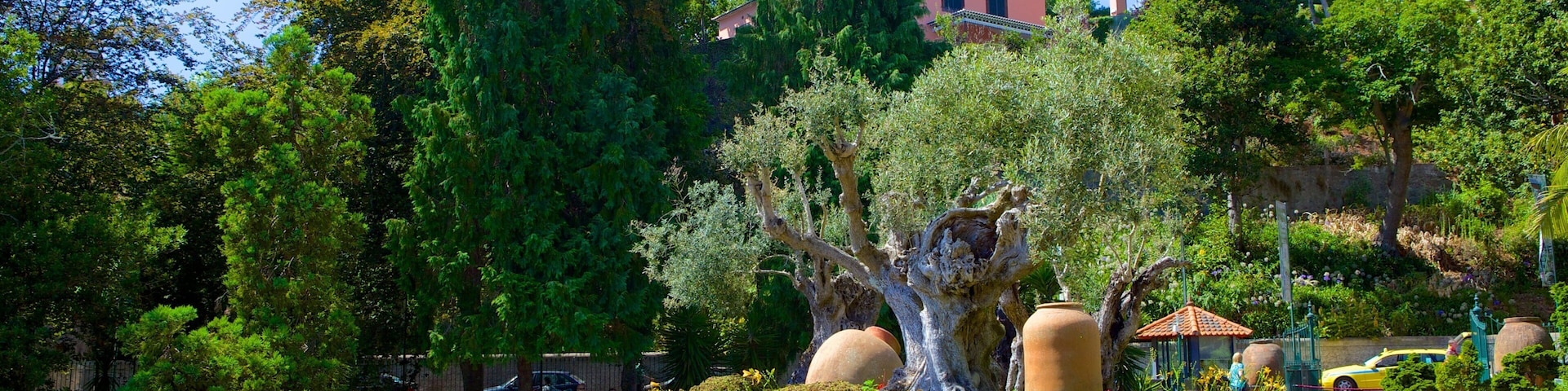 Jardins do Monte Palace mostrando um jardim