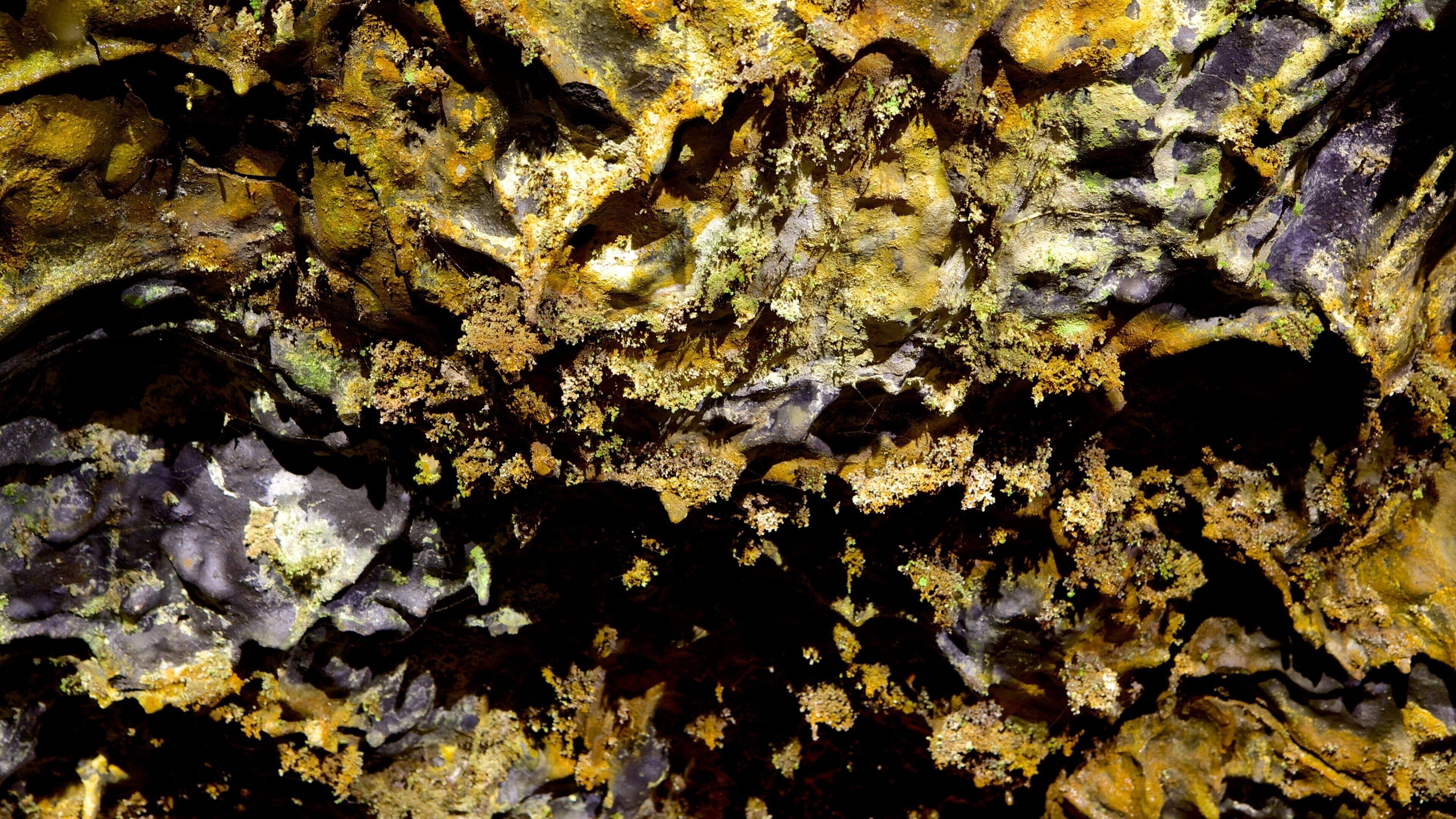 Hulerne i São Vicente som viser huler