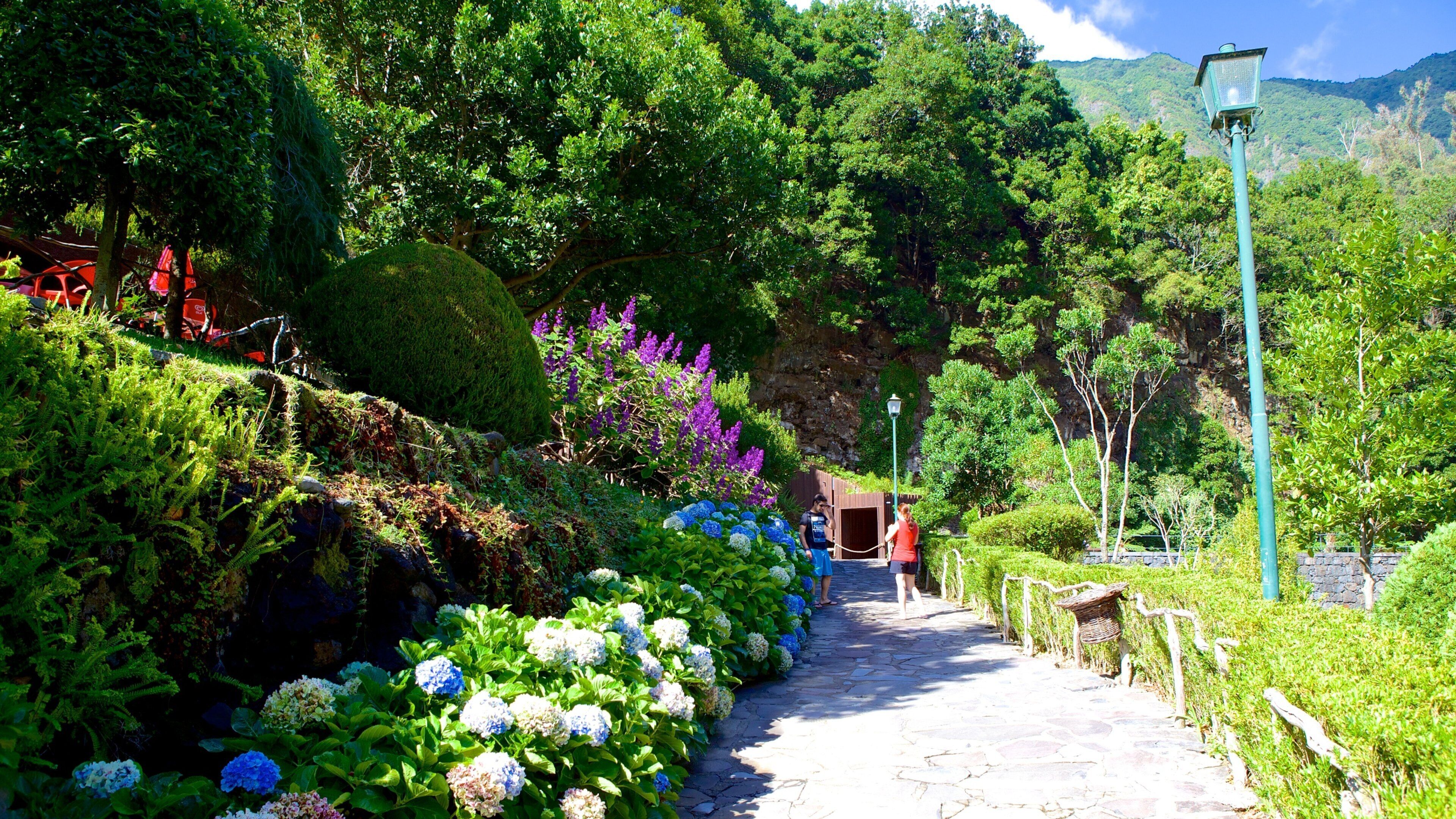 Caves of Sao Vicente and Volcanism Center which includes flowers and a park