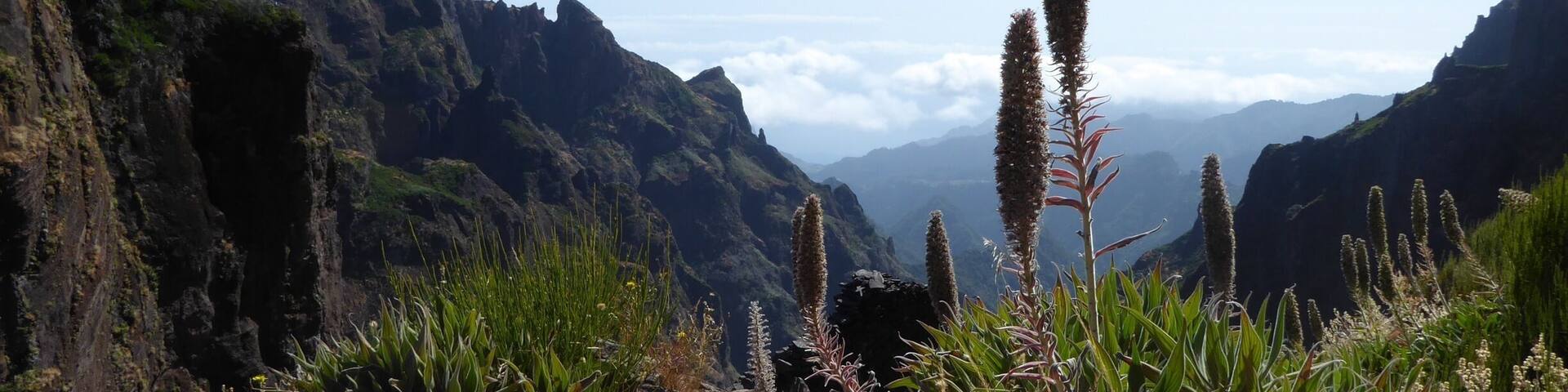 This was taken on my way to the highest peak in Madeira, a beautiful little Portuguese isalnd near the African coast. I met the most friendliest people here on this isalnd. Madeira is so small that you do not need 1 month to go and see everything there is and elderly people speak very good English too !
#madeira #outdoor #nature #hiking