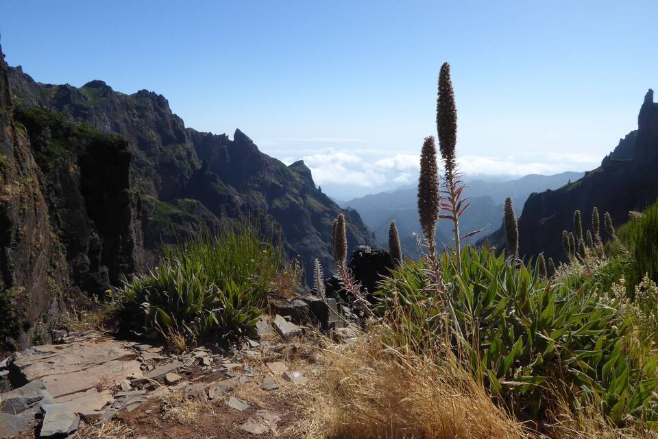Paisatge montanós amb terreny rocos i vegetació escassa.
