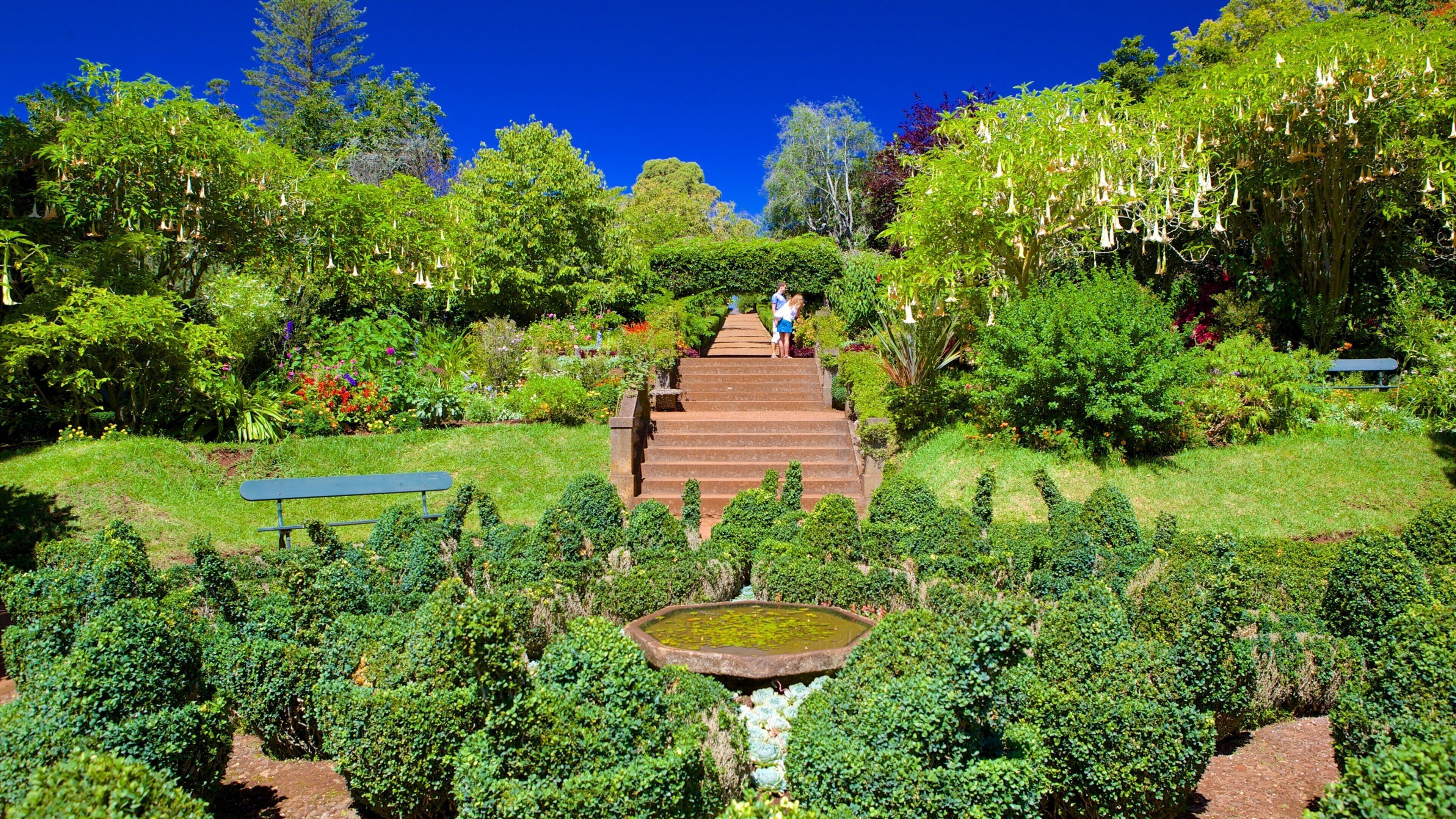 Palheiro Gardens ซึ่งรวมถึง สวน