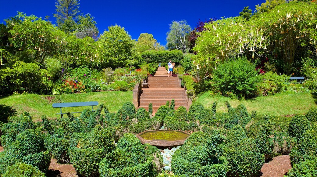 Palheiro Gardens som omfatter en park