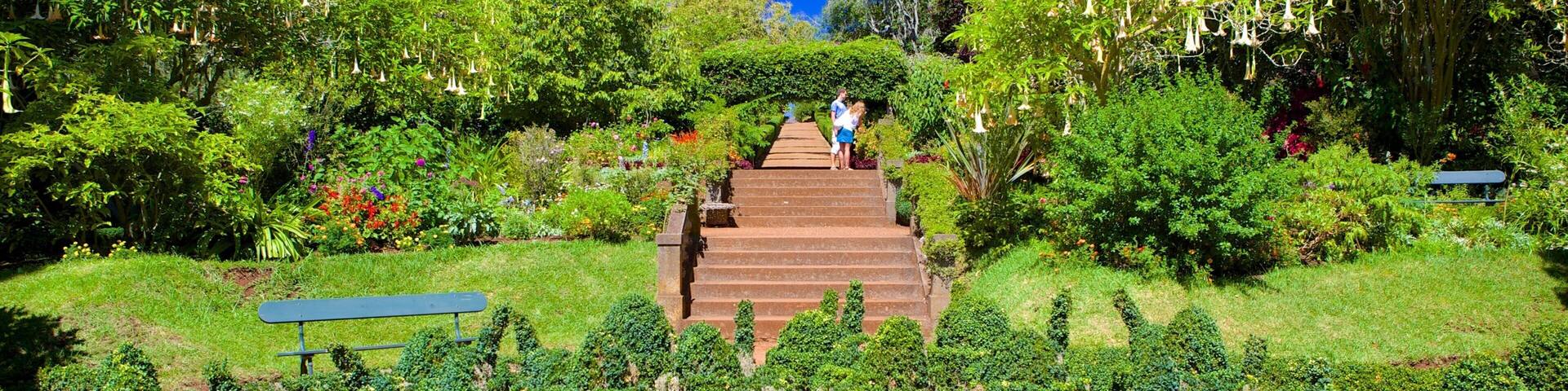 Palheiro Gardens featuring a park