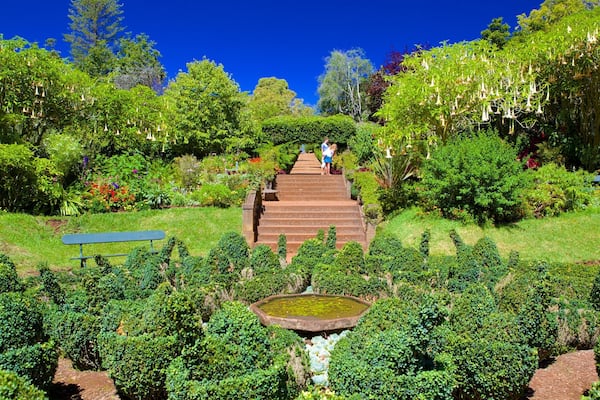 Palheiro Gardens featuring a park