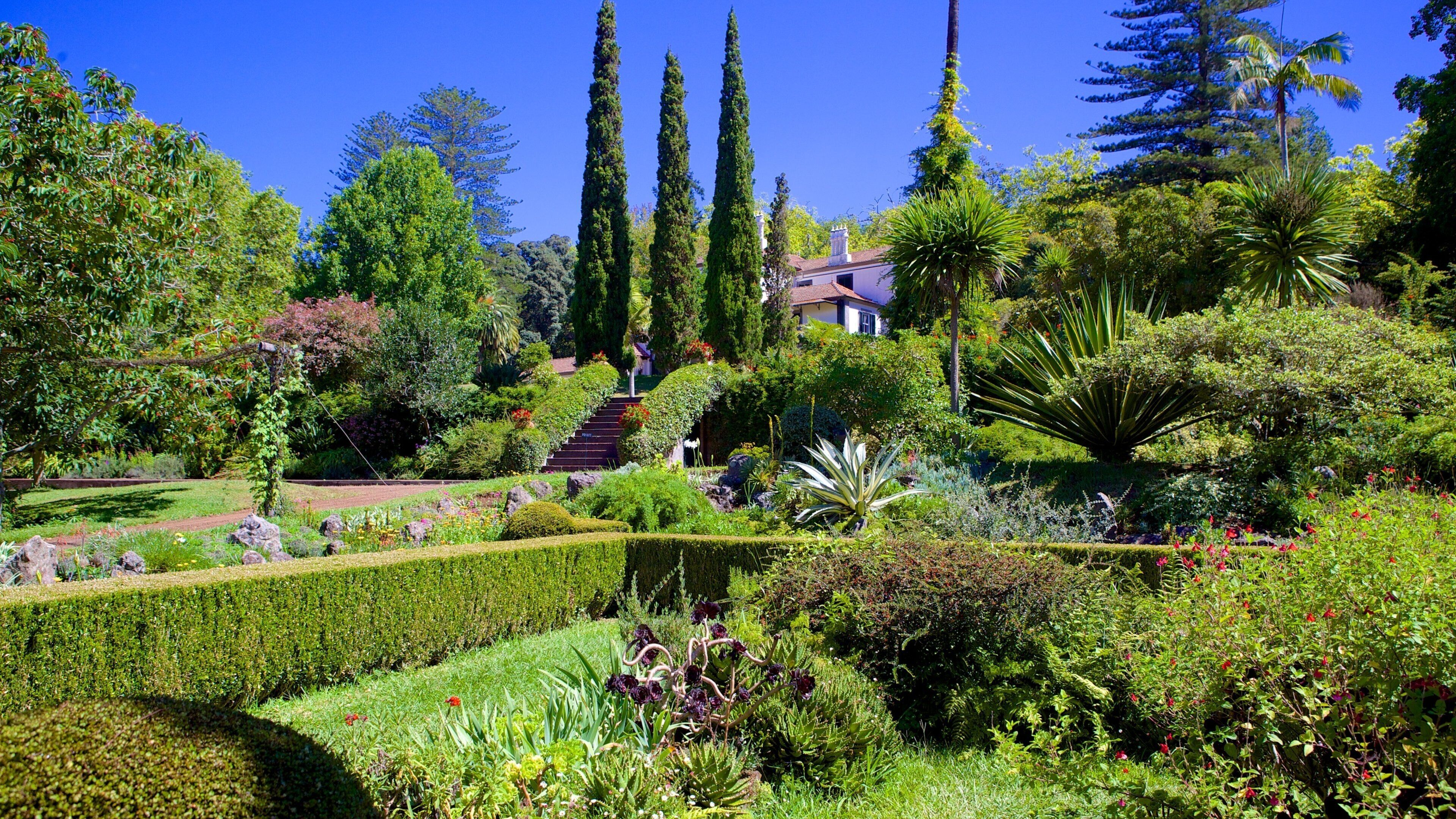 Palheiro Gardens showing a garden