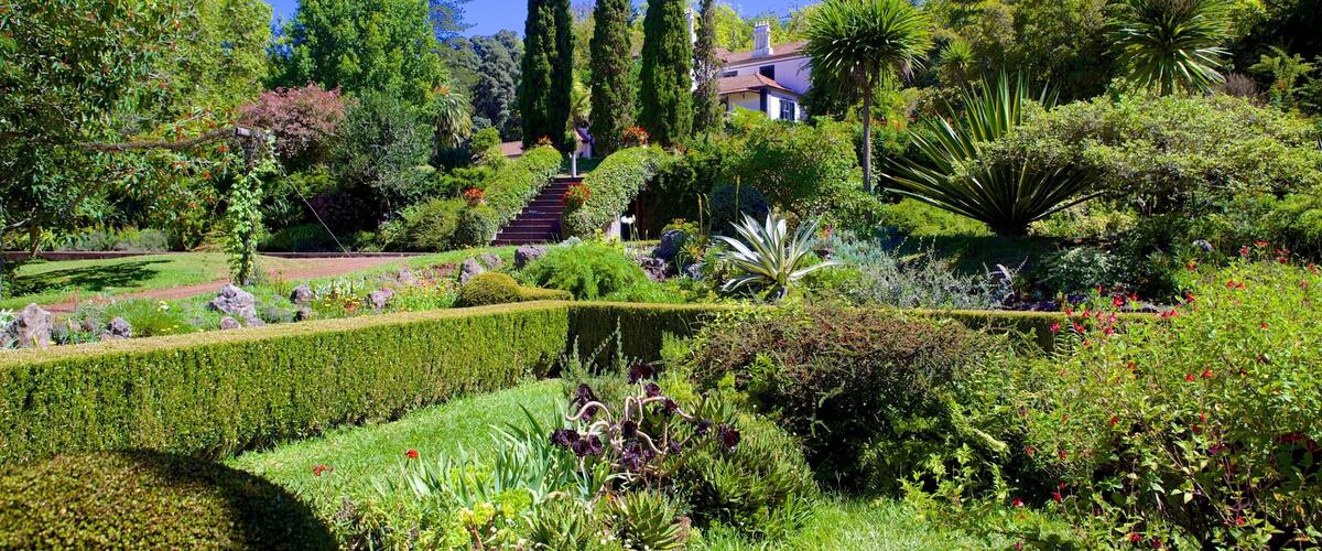 Palheiro Gardens showing a garden
