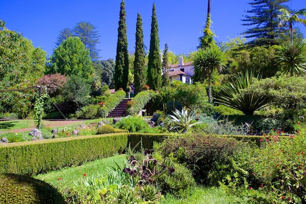 Palheiro Gardens showing a garden