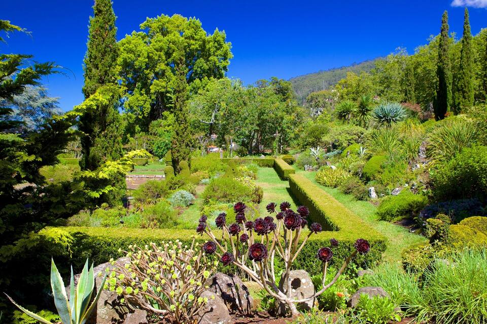 Un jardin luxuriant, avec une grande variété de plantes et d’arbres, une haie soigneusement taillée et, en arrière-plan, un paysage montagneux.