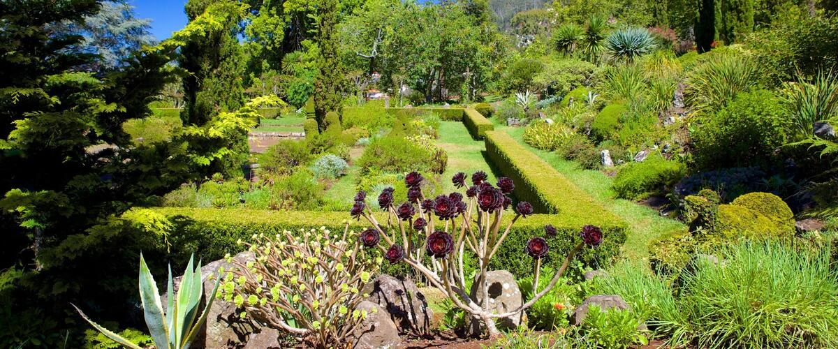 A lush garden with various plants and trees, a neatly trimmed hedge, and a mountainous backdrop.
