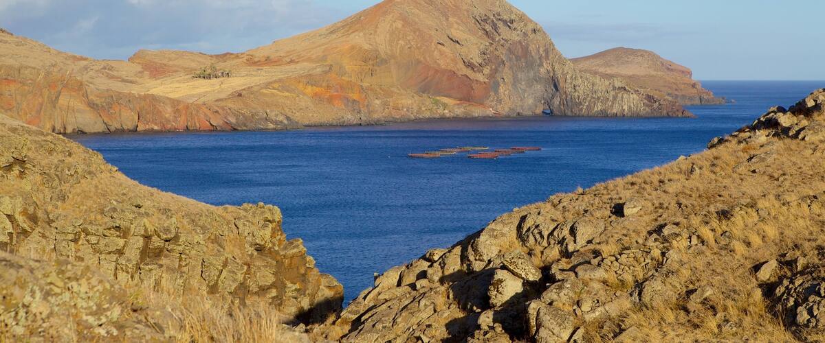 Sao Lourenco Point showing rocky coastline