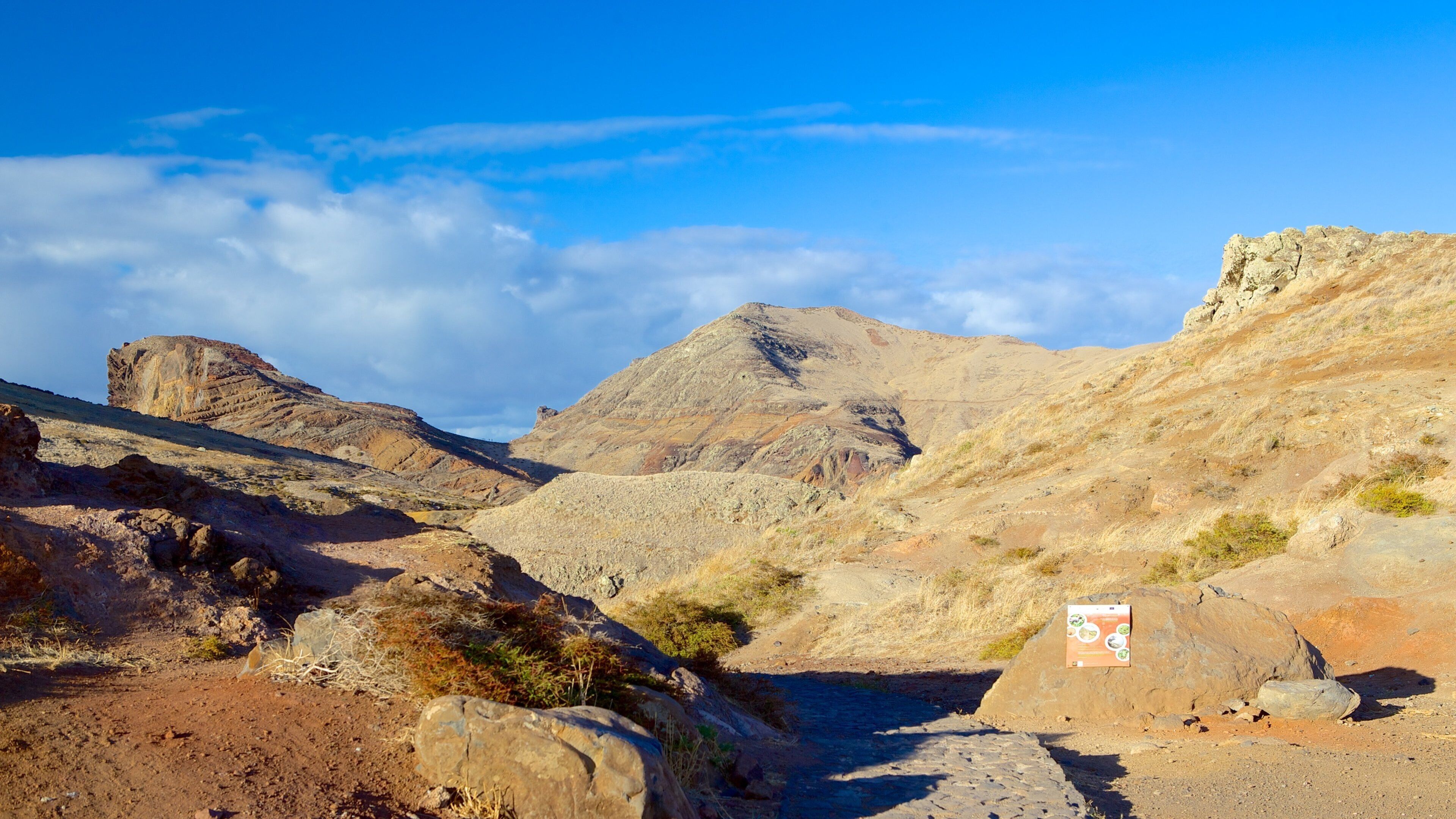 Sao Lourenco Point showing mountains