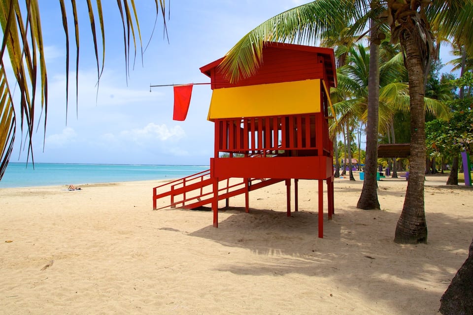 A beach with a lifeguard tower, palm trees, and a clear blue sky.