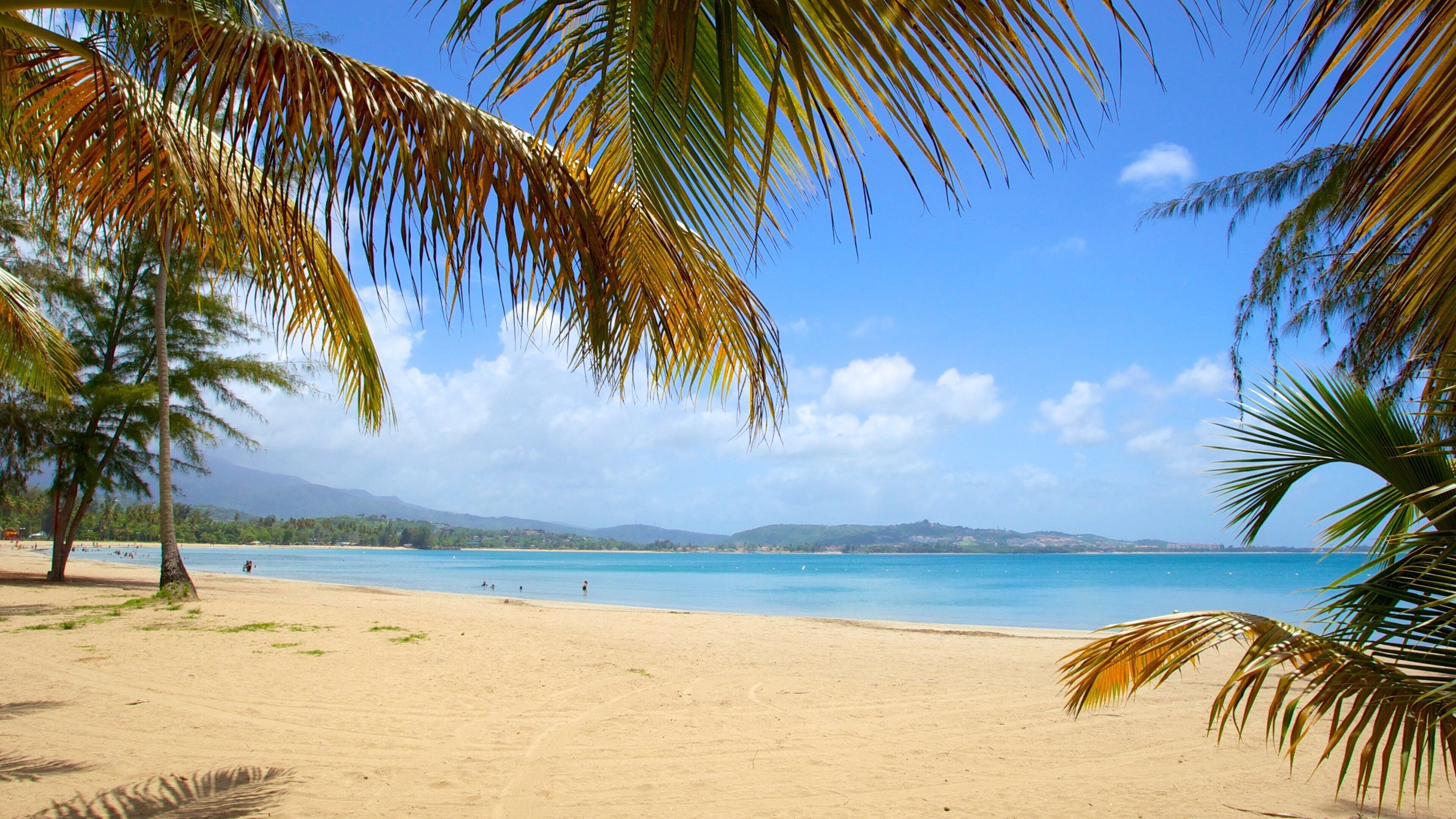 Une plage à l’eau d’un bleu cristallin, bordée de palmiers et surplombée de montagnes lointaines.