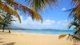 A beach with clear blue water, palm trees, and distant mountains.