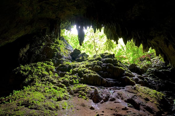 Rio Camuy Cave Park