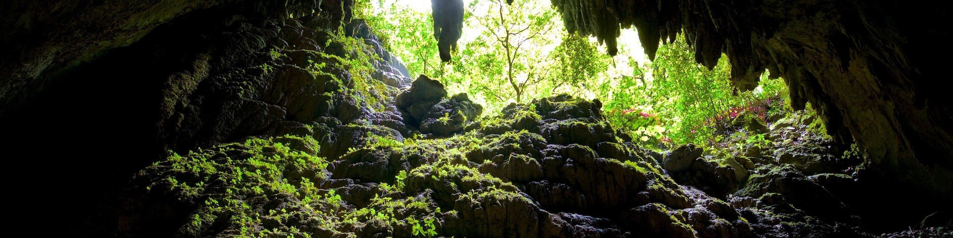 Parque de las Cavernas del Rio Camuy