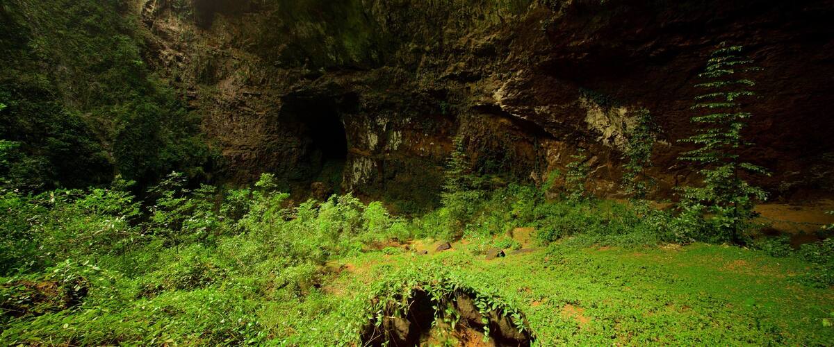 Rio Camuy Cave Park