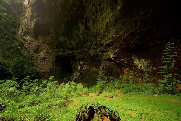 Rio Camuy Cave Park