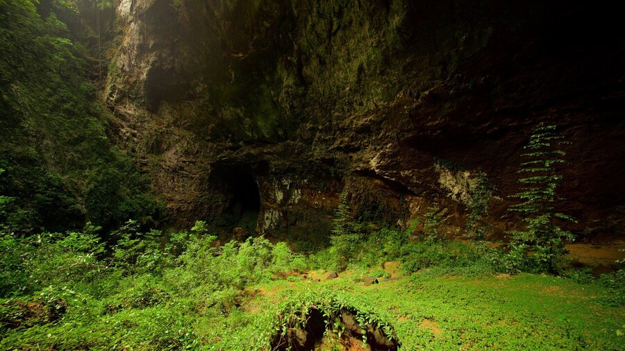 Rio Camuy Cave Park