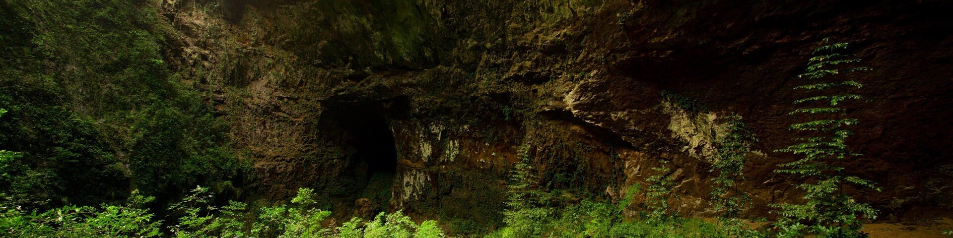 Rio Camuy Cave Park