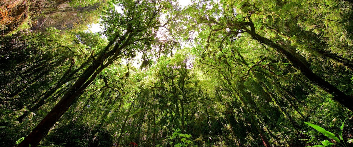 Hatillo Hotel Guide