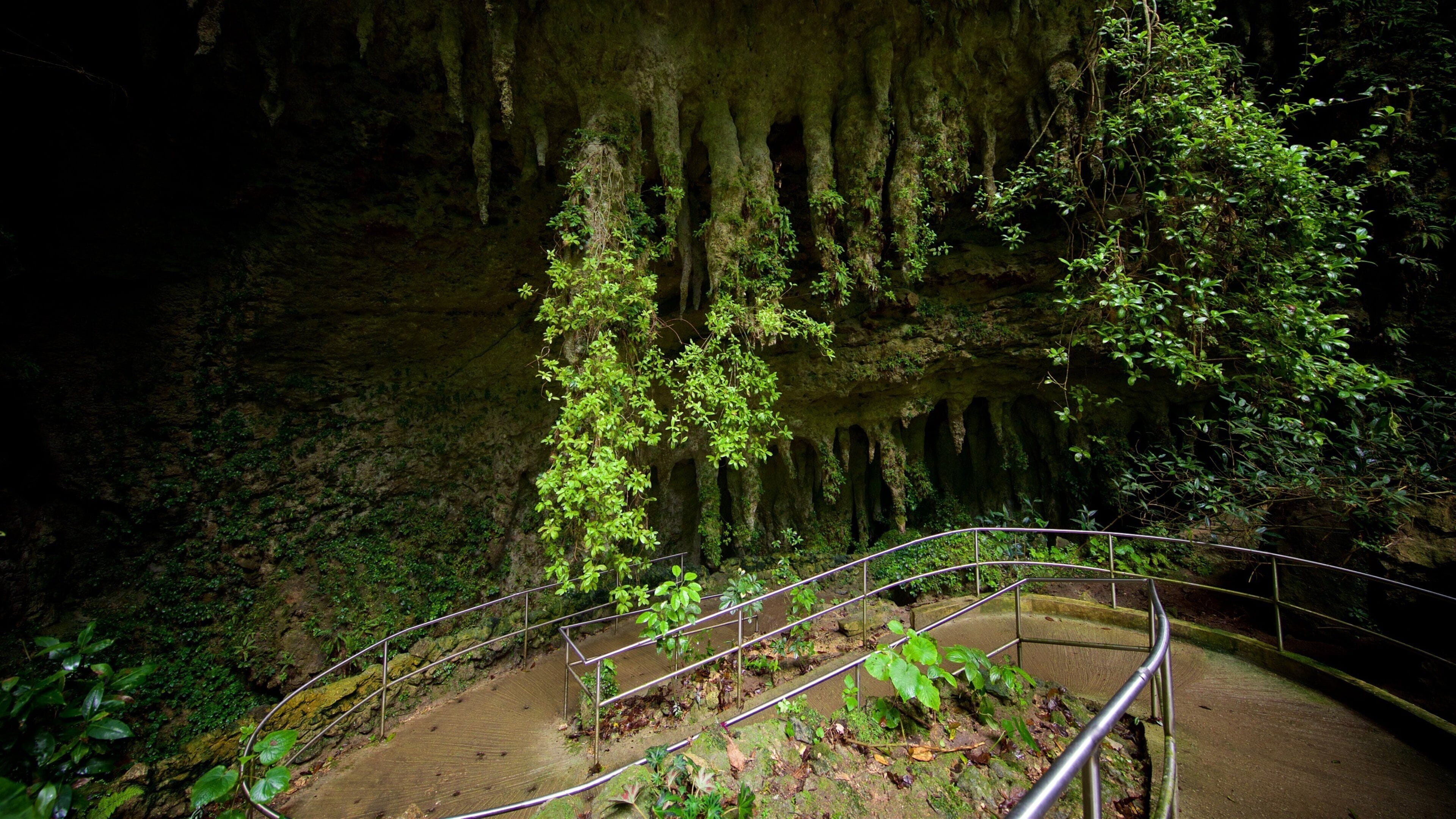 Rio Camuy Cave Park